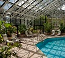 Toronto Airport Marriott Hotel Pool