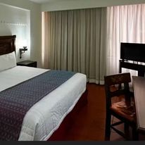 Hotel Fenix