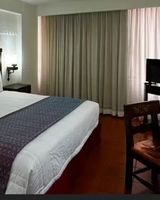 Hotel Fenix