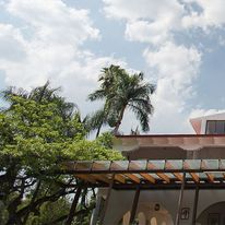 Hotel Jacarandas