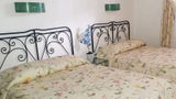 Hotel Jacarandas Room