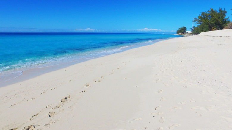 <b>Bimini Big Game Club Resort & Marina Beach</b> <b>Bimini Big Game Club Resort & Marina Beach</b>