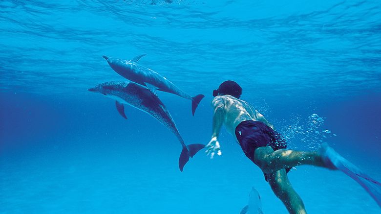<b>Bimini Big Game Club Resort & Marina Recreation</b> <b>Bimini Big Game Club Resort & Marina Recreation</b>