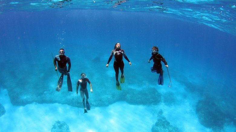 <b>Bimini Big Game Club Resort & Marina Recreation</b> <b>Bimini Big Game Club Resort & Marina Recreation</b>