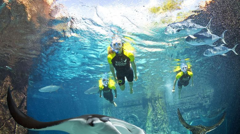 <b>Atlantis Paradise Island Resort Recreation</b> <b>Atlantis Paradise Island Resort Recreation</b>