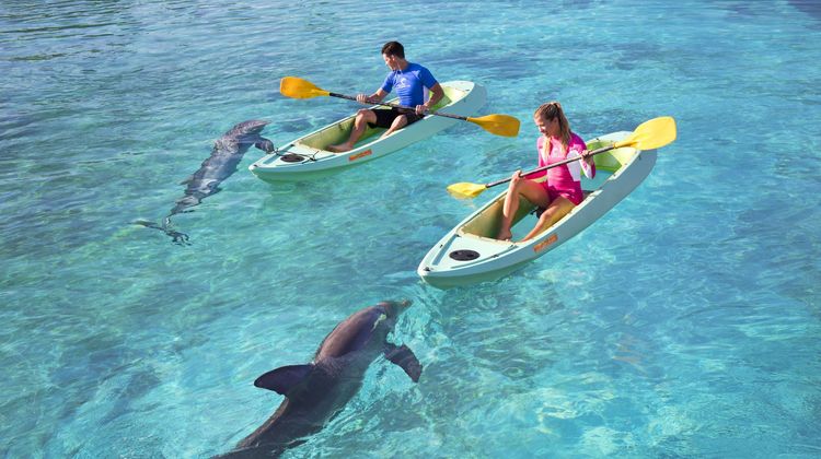 Atlantis Paradise Island Resort Recreation