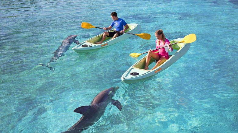 <b>Atlantis Paradise Island Resort Recreation</b>