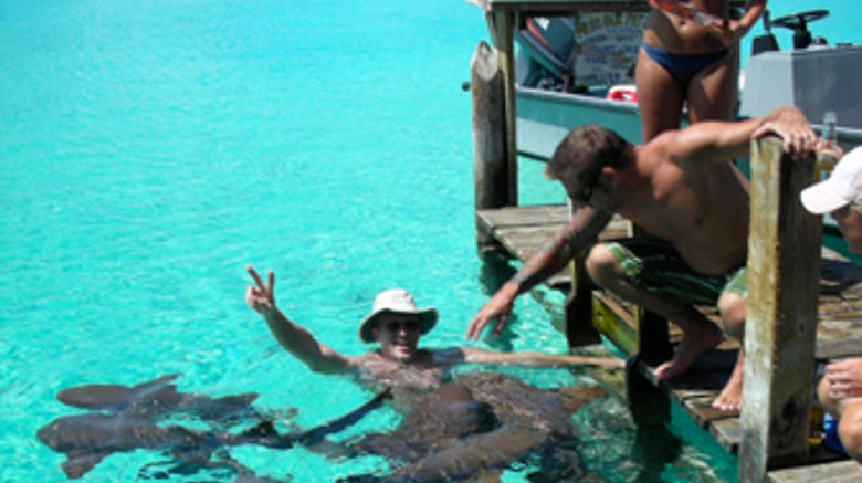 <b>Staniel Cay Yacht Club Other</b> <b>Staniel Cay Yacht Club Other</b>