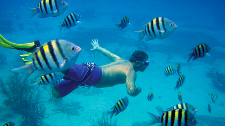 <b>Staniel Cay Yacht Club Recreation</b> <b>Staniel Cay Yacht Club Recreation</b>