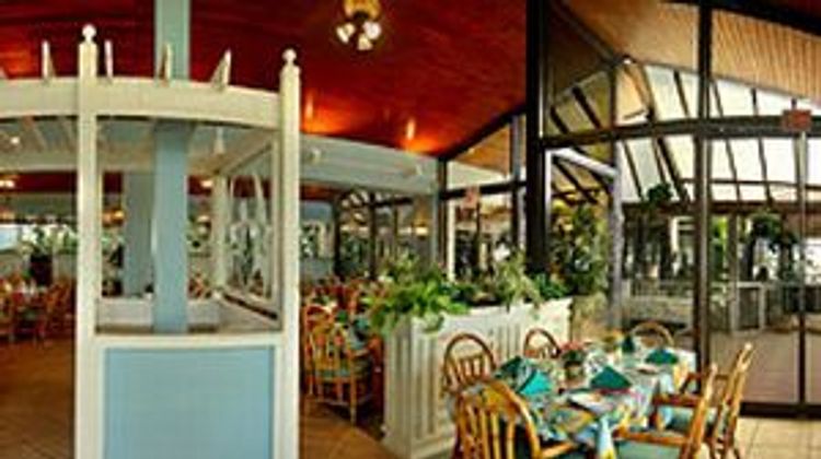 Treasure Cay Hotel Resort & Marina Restaurant
