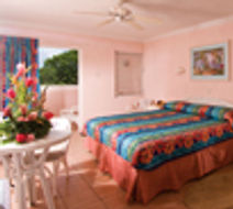 Butterfly Beach Hotel Room