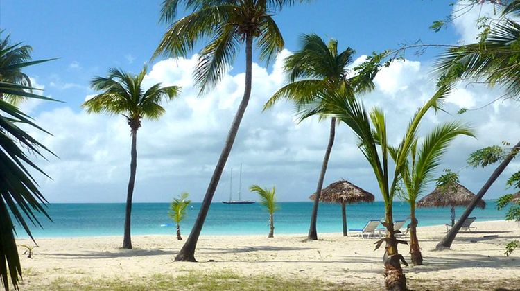 Coco Point Lodge Beach