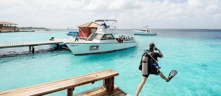 Captain Don's Habitat Recreation