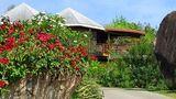 Guavaberry Spring Bay Exterior