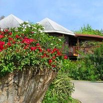 Guavaberry Spring Bay