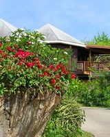 Guavaberry Spring Bay
