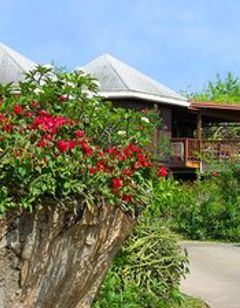Guavaberry Spring Bay