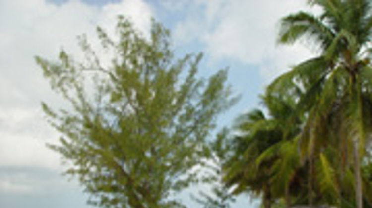 Harbour Heights Exterior
