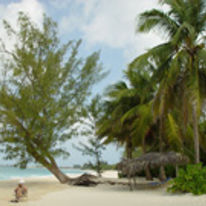 Harbour Heights