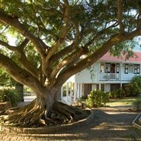 Montpelier Plantation & Beach