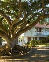 Montpelier Plantation & Beach