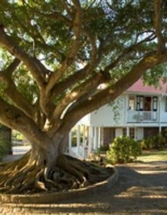 Montpelier Plantation & Beach