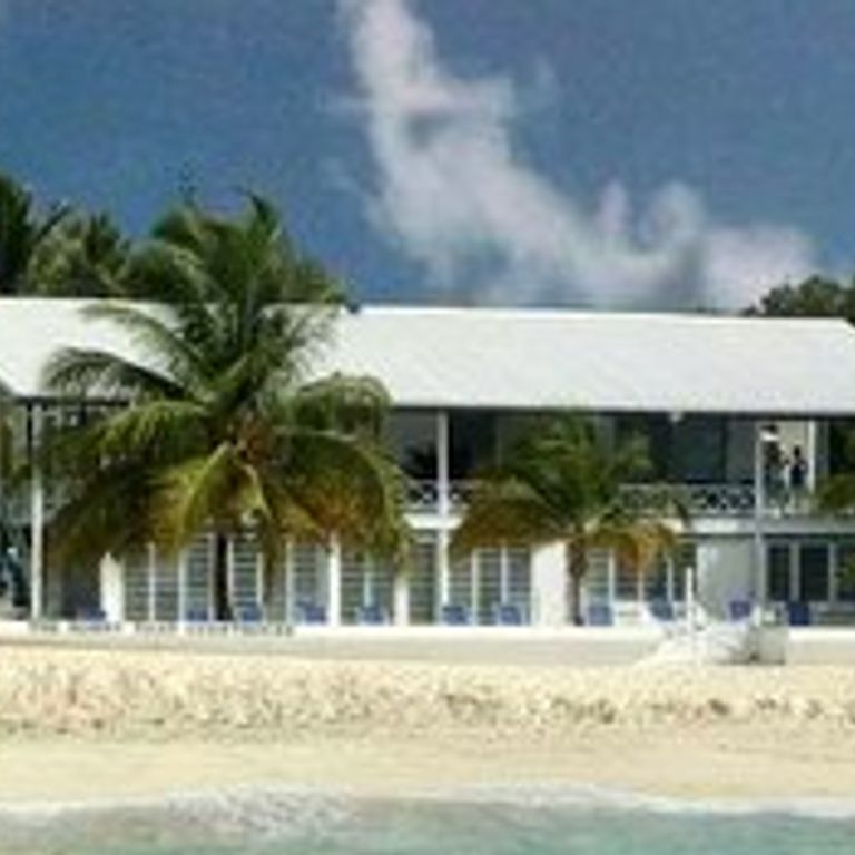 Horny Toad Guesthouse