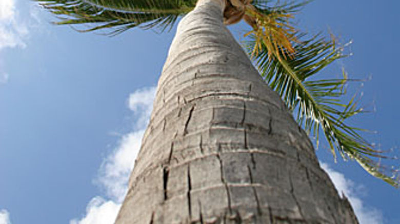<b>Club Orient Naturist Resort Other</b> <b>Club Orient Naturist Resort Other</b>