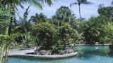 Young Island Resort Pool
