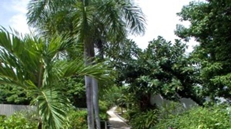 <b>Pavilions and Pools Hotel Exterior</b>