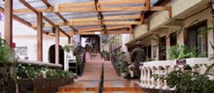 Hotel Don Carlos Lobby