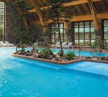 Termas Puyehue Wellness & Spa Resort Pool