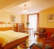 Centralhotel Gablerbraeu Room