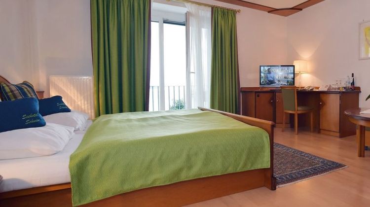 Seehotel Schwan Room