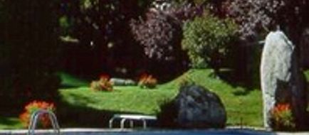 Hotel Mont-Blanc Pool