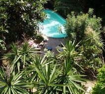 Hotel Windsor Pool