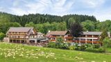 Hotel Gruener Wald Exterior