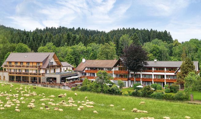 Hotel Gruener Wald Exterior