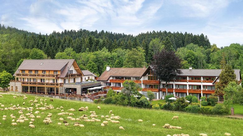Hotel Gruener Wald Exterior