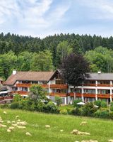 Hotel Gruener Wald