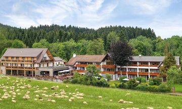 Hotel Gruener Wald