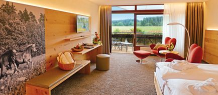 Hotel Gruener Wald Room
