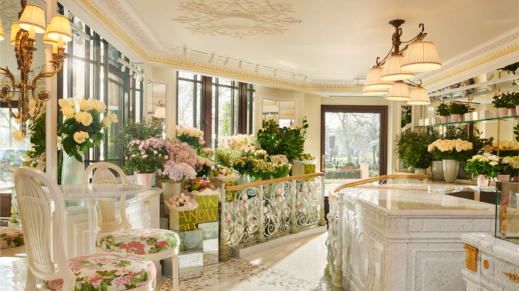 The Dorchester Other