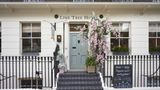 Lime Tree Hotel Exterior