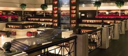 Sofitel Budapest Chain Bridge Lobby