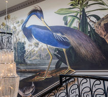 Dromhall Hotel Lobby