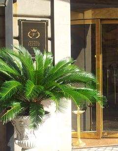 Hotel Veneto Palace