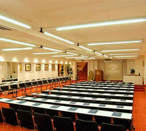 Hotel Raffaello Meeting