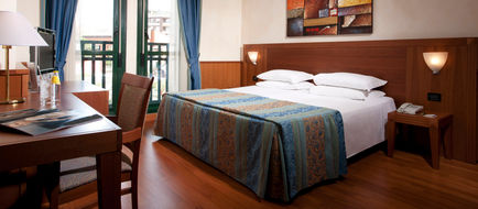 Hotel Raffaello Room