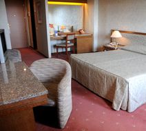 Leonardo da Vinci Hotel e Centro Congres Room